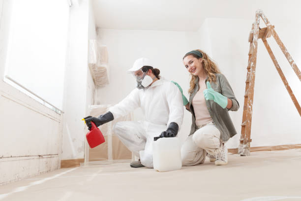 Best Asbestos and Lead Testing During Mold Inspection  in Llano Grande, TX